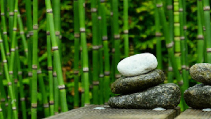 Bamboo Creek Spa