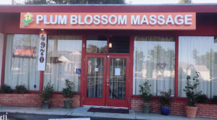 Plum Blossom Massage