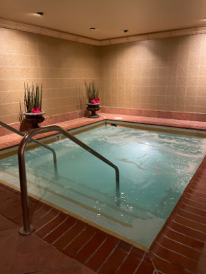 USA Spa